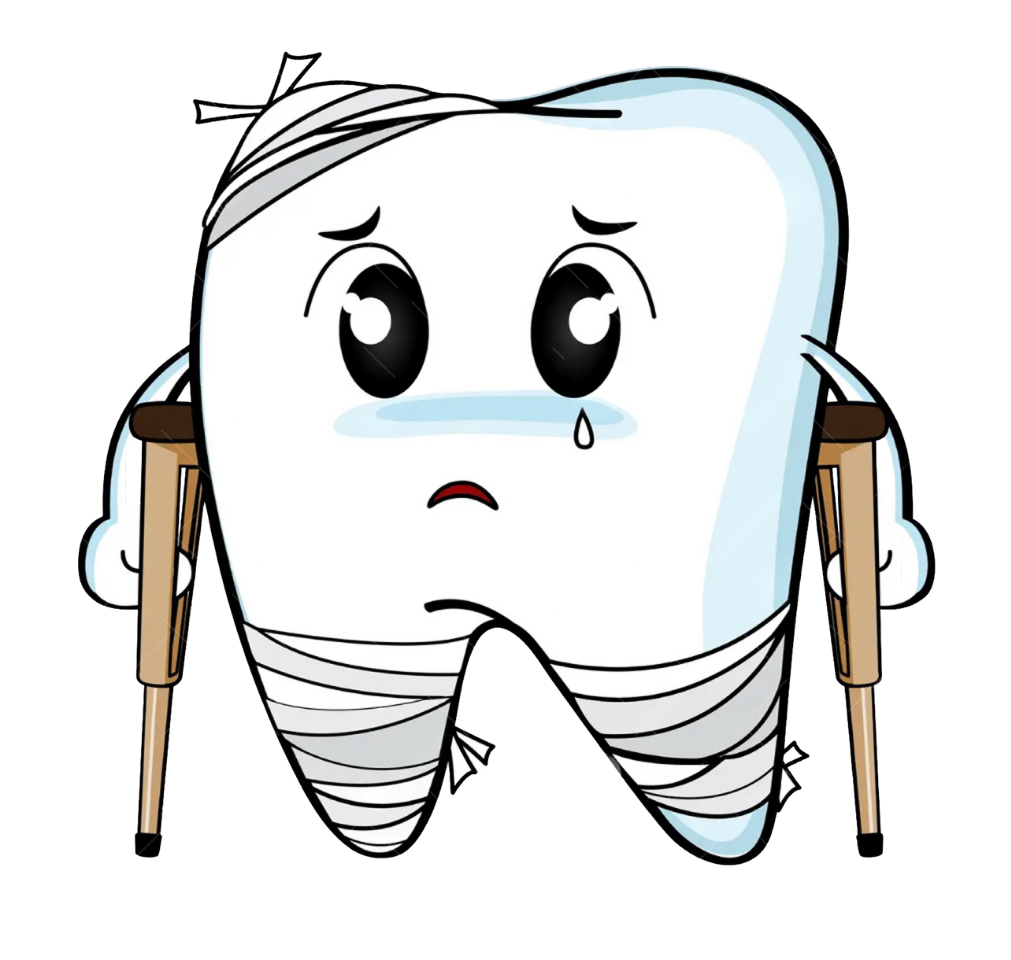 Cartoon of traumatized tooth on crotches